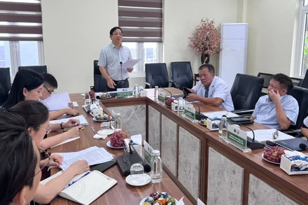 Phó Giáo sư, Tiến sĩ Lương Ngọc Khuê, Phó Chủ tịch Hội đồng y khoa Quốc gia, Cục trưởng Cục quản lý Khám chữa bệnh phát biểu tại buổi làm việc.