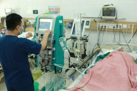 Bệnh nhân đang được điều trị tích cực tại Trung tâm Chống độc, Bệnh viện Bạch Mai. 