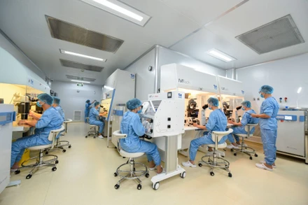 Xét nghiệm sàng lọc phôi tiền làm tổ.