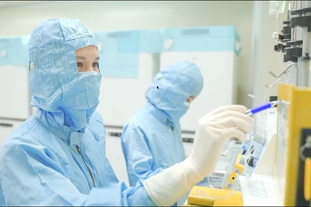 Kiểm tra tế bào CAR-T.