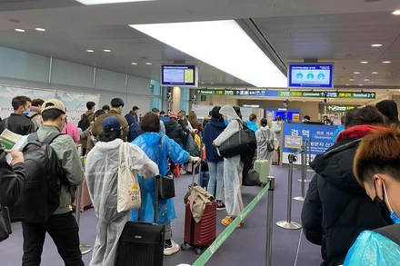 Hành khách nhập cảnh Hàn Quốc. 
