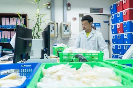 Nhân viên Viện Huyết học-Truyền máu Trung ương chuẩn bị huyết tương để cung cấp cho các cơ sở y tế.