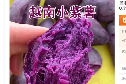 Khoai lang tím Việt Nam trên các nền tảng thương mại điện tử ở Trung Quốc. (Ảnh minh họa)