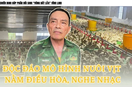 Độc đáo mô hình nuôi vịt nằm điều hòa, nghe nhạc