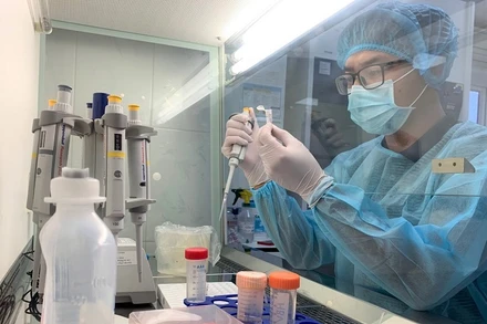 Các nhà khoa học nghiên cứu chẩn đoán SARS-CoV-2. 