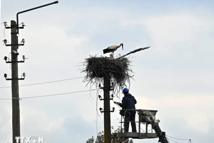 Công nhân sửa chữa đường dây điện tại Borodianka, tây bắc Kiev, Ukraine. (Ảnh: AFP/TTXVN)