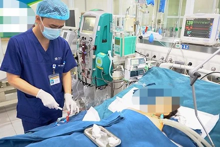 Bệnh nhi suy đa tạng vì bị ong đốt.