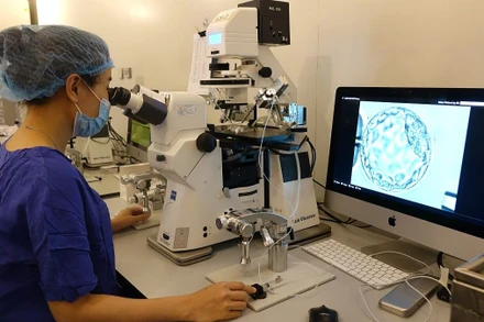 Kỹ thuật viên sinh thiết phôi.