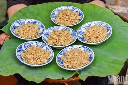 (Ảnh: NAM NGUYỄN - NHẬT QUANG)