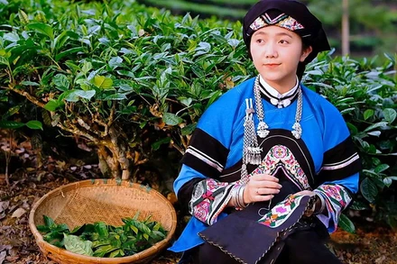 Lồ Phà Tú Anh là cô gái Bố y, cũng là tác giả của clip giành giải nhất Cuộc thi “Tinh hoa Việt Nam”.