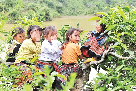 Cơ sở dữ liệu trẻ em cũng là cấu phần quan trọng trong Cơ sở dữ liệu quốc gia về an sinh xã hội.(Ảnh minh họa ĐĂNG KHOA)