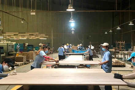 Chế biến gỗ xuất khẩu tại Công ty cổ phần gỗ Minh Dương (Bình Dương). (Ảnh Vũ Hoàng) 