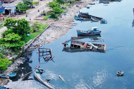 Nhiều xác tàu mục nát nằm dọc bờ cảng Sa Huỳnh, thị xã Đức Phổ gây khó khăn cho tàu thuyền neo trú.