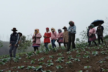 Các bà mẹ người H'Mông trong chuyến học làm nông tại Mộc Châu, Sơn La.