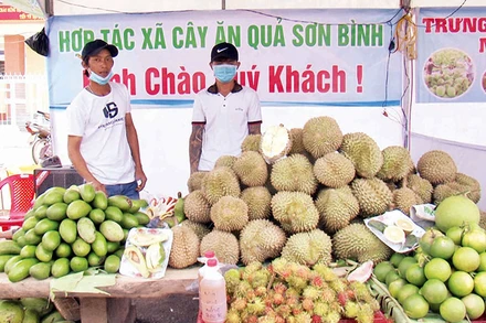 Một gian hàng trái cây tại Lễ hội trái cây Khánh Sơn, tỉnh Khánh Hòa. (Ảnh PHONG NGUYÊN)