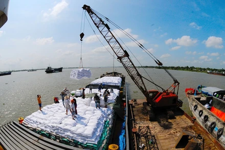 Xuất khẩu gạo có nhiều tín hiệu vui.