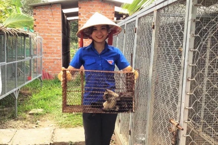 Phan Lê Thúy Vi khoe cặp chồn hương sinh sản. 