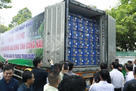 Đưa sầu riêng lên xe container xuất khẩu sang thị trường Trung Quốc.