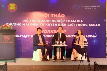 Các chuyên gia thảo luận tại hội thảo. (Ảnh: CTV)