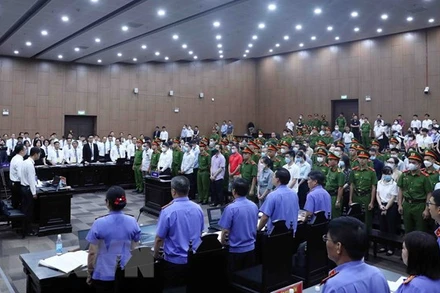 Quang cảnh phiên xét xử. (Ảnh: TTXVN)