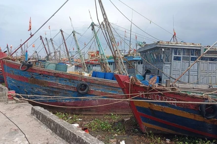 Nhiều tàu, thuyền về tránh trú bão tại cảng cá Tân Sơn, huyện Thái Thụy (tỉnh Thái Bình).