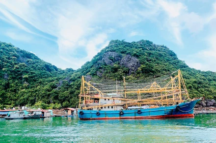 Tàu khai thác thủy sản neo đậu trên biển Cát Bà. (Ảnh minh hoạ).