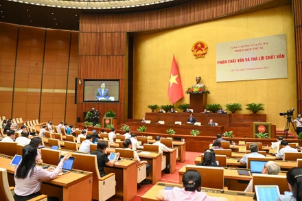 Nhóm vấn đề thứ hai thuộc lĩnh vực của Bộ Nông nghiệp và Phát triển nông thôn, nội dung chất vấn gồm: giải pháp tháo gỡ khó khăn cho xuất khẩu nông sản; hoạt động khai thác, bảo vệ và phát triển nguồn lợi thủy sản, giải pháp tháo gỡ “thẻ vàng” của Ủy ban châu Âu (EC) đối với thủy sản; việc chuyển đổi mục đích sử dụng, thu hồi diện tích đất trồng lúa, bảo đảm an ninh lương thực và xuất khẩu gạo.