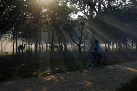 Một người bế con đạp xe trong khi bụi và khói bao phủ không khí dọc theo bờ sông ở New Delhi, Ấn Độ.