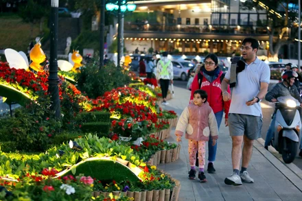 Du khách nước ngoài trải nghiệm đêm phố núi Đà Lạt.