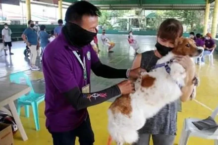 Phillipinnes ghi nhận 426 ca tử vong do bệnh dại. Ảnh: Bernama-Xinhua