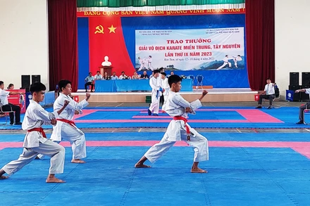 Các vận động viên sổi nổi tranh tài tại giải.