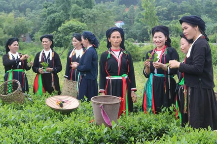 Trong năm 2022, tỉnh Thái Nguyên đầu tư hơn 287 tỷ đồng xây dựng hạ tầng và hỗ trợ phát triển sản xuất.