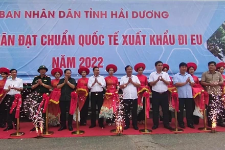 Cắt băng xuất khẩu 3 tấn nhãn đầu tiên. 