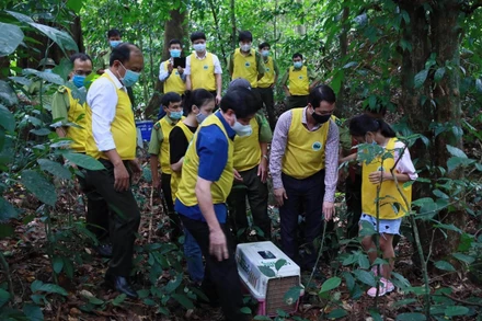 Vườn quốc gia Cúc Phương (Ninh Bình) tổ chức cho khách du lịch tham gia thả động vật hoang dã về rừng.