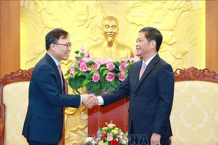 Đồng chí Trần Tuấn Anh, Uỷ viên Bộ Chính trị, Trưởng Ban Kinh tế Trung ương tiếp Đại sứ Hàn Quốc tại Việt Nam Park Noh Wan. Ảnh: TTXVN