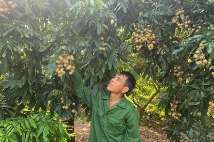 Chính sách tín dụng đóng góp quan trọng trong công cuộc giảm nghèo, bảo đảm an sinh xã hội ở tỉnh Hưng Yên