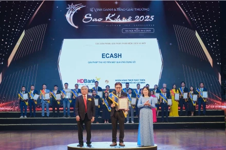 Ông Trần Hoài Phương- Giám đốc Khối Khách hàng doanh nghiệp HDBank- đại diện HDBank nhận giải Sao Khuê.