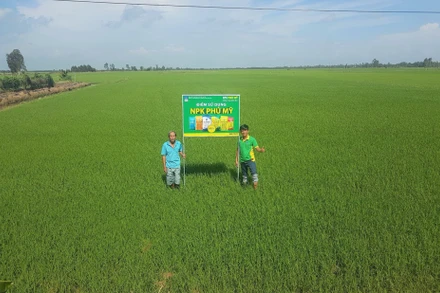 Bộ sản phẩm Phân bón Phú Mỹ chất lượng cao cho vụ mùa bội thu, bà con nông dân tin tưởng sử dụng.