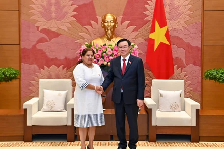 Chủ tịch Quốc hội Vương Đình Huệ và Tổng Thư ký Hội Liên hiệp Phụ nữ Cuba Teresa Amarelle Boué tại buổi tiếp. 