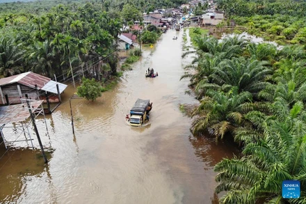 Ảnh minh họa lũ lụt ở tỉnh Aceh, Indonesia. Ảnh: Tân Hoa xã