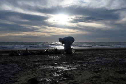 Một tình nguyện viên đang làm sạch dầu tràn trên bờ biển sau sự cố liên quan đến hai tàu chở dầu bị hư hại do bão. Ảnh: Reuters