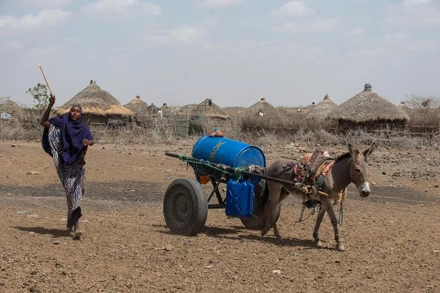 Một người phụ nữ sử dụng xe lừa để vận chuyển nước ở những khu vực bị hạn hán ở Higlo Kebele, Adadle woreda, vùng Somali của Ethiopia. Ảnh: Reuters