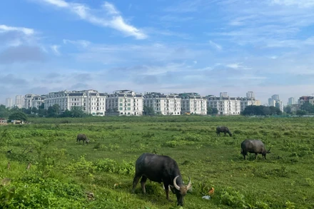 Dự báo khu vực Hà Nội ngày nắng, có nơi nắng nóng. (Ảnh minh họa: Đ.T)