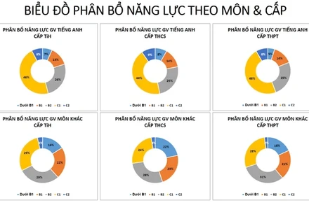 Biểu đồ phân bổ năng lực tiếng Anh theo môn và cấp học.