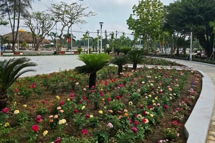 Các loại hoa được trồng tại Công viên Láng Le để phục vụ du khách.