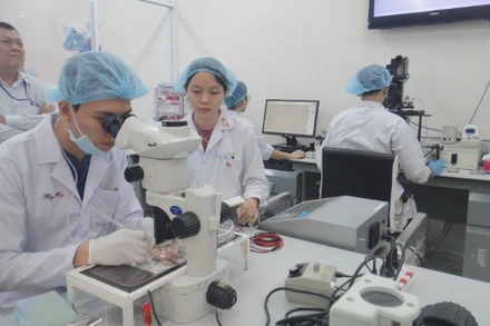 Hoạt động nghiên cứu khoa học tại Đại học Quốc gia Thành phố Hồ Chí Minh.