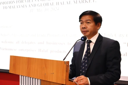 Ông Đào Minh Chánh, Phó Giám đốc Trung tâm Xúc tiến Thương mại và Đầu tư Thành phố Hồ Chí Minh phát biểu tại hội thảo.