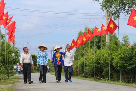 Một đường cờ Tổ quốc tại tỉnh Bình Dương (Ảnh: Người Lao Động).