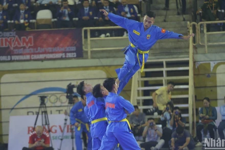 Các vận động viên tuyển Vovinam biểu diễn tại giải đấu