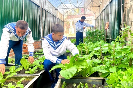 Chiến sĩ tăng gia sản xuất, trồng rau trên đảo An Bang.